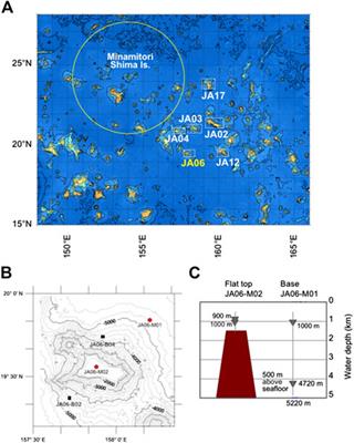 Late Summer Peak and Scavenging-Dominant Metal Fluxes in Particulate Export Near a Seamount in the Western North Pacific Subtropical Gyre